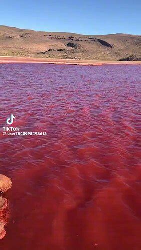 Nile River Turns Red - Giza Community