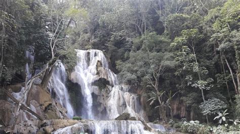 Amazing Tour And Guide In Luang Prabang Kuangsi Waterfall Pak Ou