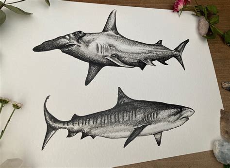 Black And White Shark Ocean Handmade Hand Drawn Print A4 Etsy