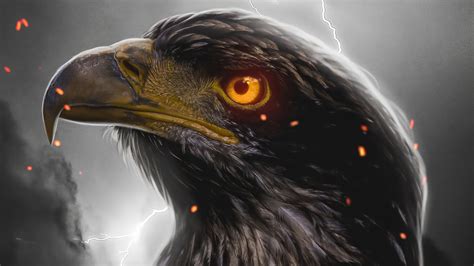 Download Bird Animal Eagle 4k Ultra Hd Wallpaper🍆 Ganhe E Celebre Suas
