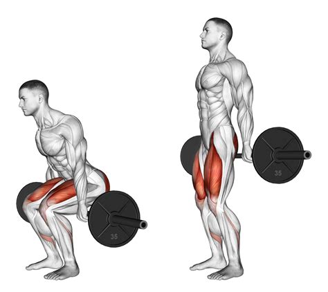 Best Lower Body Pulling Exercises With Pictures Inspire Us