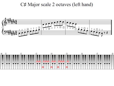 C-sharp Major scale 2 octaves (left hand) | Piano Fingering Figures