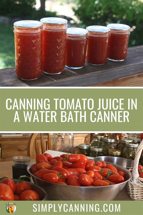 Canning Tomato Juice In A Water Bath Simplycanning