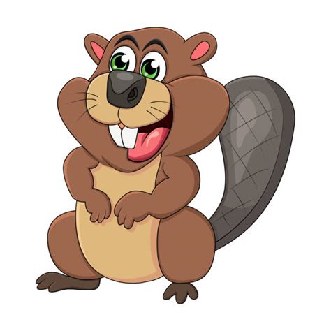 Best Cartoon Of The Beaver Teeth Illustrations Royalty Free Vector