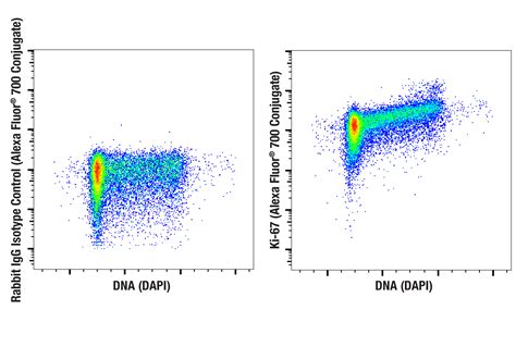 Ki 67 D3B5 Rabbit MAb Alexa Fluor 700 Conjugate Cell Signaling