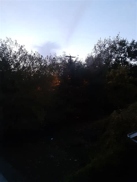 Pin by Cosmological on The Burning Bush Scripture | Flower art, Burning