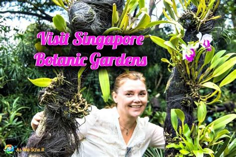 Visit Singapore Botanic Gardens, a UNESCO Site