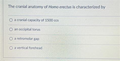 Solved The cranial anatomy of Homo erectus is characterized | Chegg.com