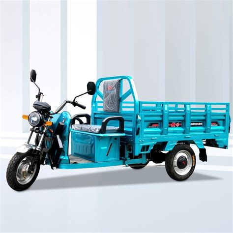 Dy E A China Wheeler With Two Seat Three Wheel Electric Cargo Bike