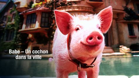 Babe Un cochon dans la ville Télé Québec