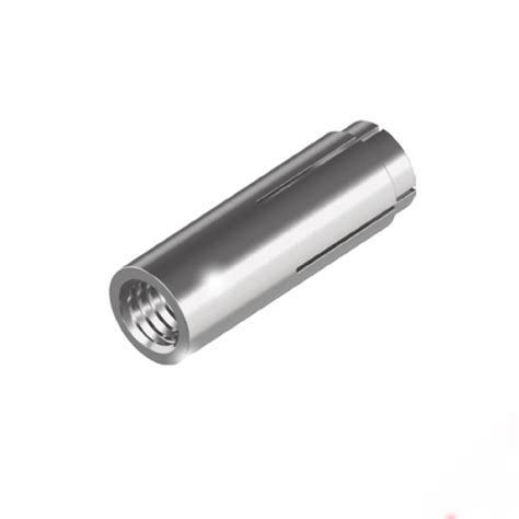 M10 X 40 316 Stainless Steel Drop In Anchor Box Of 50