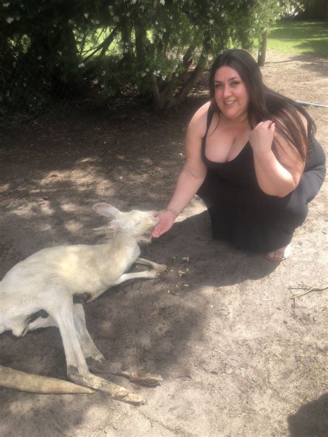bbwlayla on Twitter: "Just me chilling with some kangaroos today 🦘