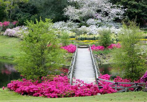 Bellingrath Gardens | Garden Destinations Magazine