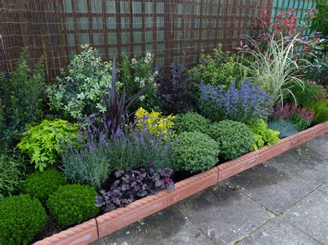 Evergreen Perenial Border — Bbc Gardeners World Magazine Garden Border