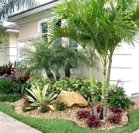 Foxtail Palm Tree Landscaping Ideas Palm Tree Landscape Ideas Landsc In 2020 Landscape Ideas