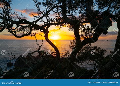 Pacific Sunrise from Mount Maunganui. Stock Image - Image of scenery ...