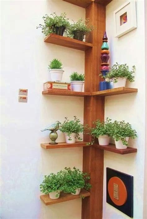 Genial Estantes De Plantas Repisas Para Plantas Y Decoraciones De