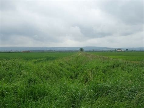 Drain South Of Penniston Lane JThomas Geograph Britain And Ireland