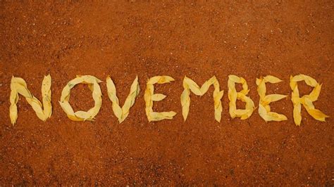 November Zodiac Sign – What is the November Zodiac Sign?