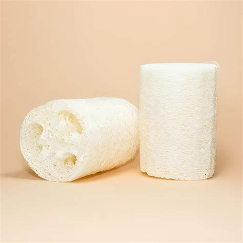 Plant Based Loofah Made With Dried Patola By Project Refill Ecoshoppe Ph