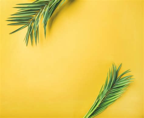 Premium Photo Green Palm Branches Over Yellow Background