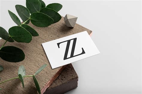 Logo for the brand "Zayza" on Behance