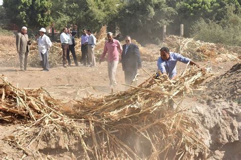 فيديو وصور محافظة أسيوط تنفذ تجربة تحويل المخلفات الزراعية لسماد عضوى