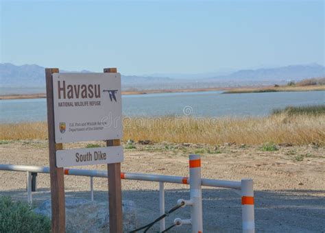 Havasu National Wildlife Refuge at Lake Havasu, Lower Colorado River ...