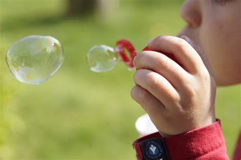 Soap Bubbles Make Free Photo On Pixabay