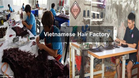 Vietnamese Hair Factory Top 5 Best Vietnamese Hair Factories