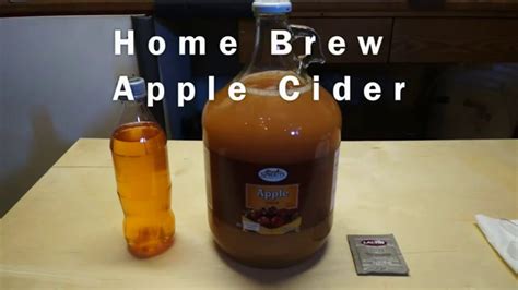 Home Brew Apple Cider Step By Step Process Brew Insight