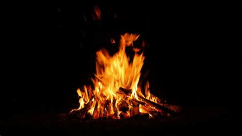 Campfire Camp Fire Summer Burning Firecampfire Stock Footage Video (100 ...