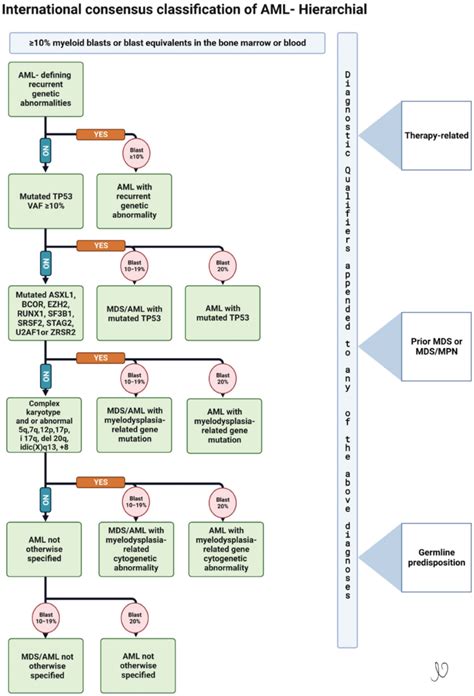 Managing Acute Myeloid Leukemia Strategies For Improved Quality Of