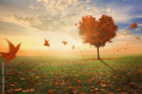 Heart Shaped Tree During Fall Stock Illustration Adobe Stock