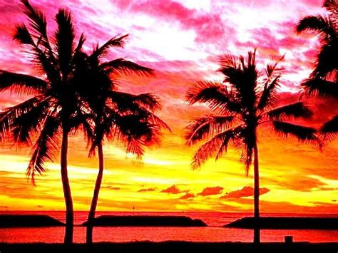 Sunset 1  Yellow Sunset Pink Orange Hd Wallpaper Peakpx