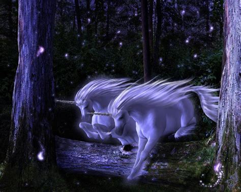 Real Unicorn Wallpapers Top Free Real Unicorn Backgrounds