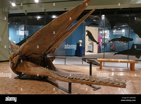 New Brunswick Museum Saint John Stock Photo Alamy