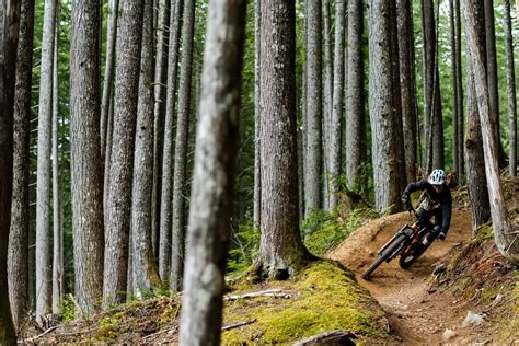 Blogue - Comment choisir un vélo de montagne - Ultime Vélo