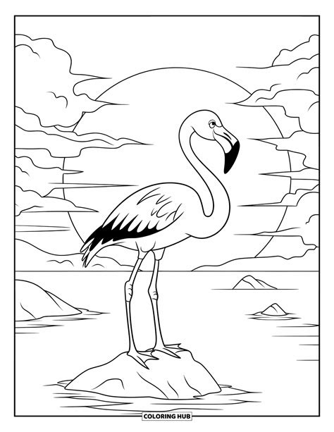 210+ Desenhos de flamingo para colorir para crianças e adultos (PDFs ...