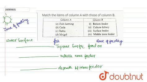 Match The Items Of Column A With Those Of Column B Youtube