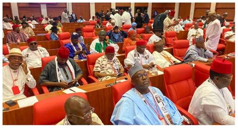 [video] 10th Nass Voting Commences As Lawmakers Elect Senate President