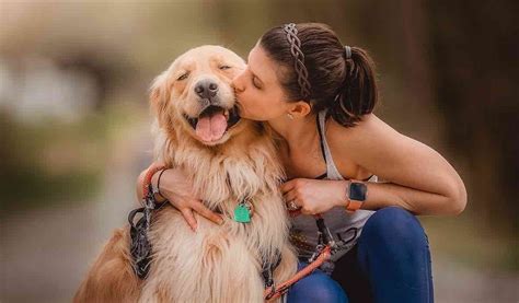 Un chien errant courageux s est précipité pour défendre une femme