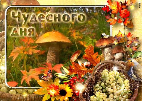 Необычная открытка с грибочком Чудесного дня - Скачать бесплатно на ...