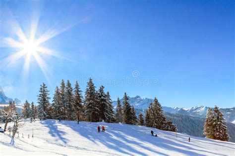 Landscape in Switzerland stock photo. Image of landscape - 100860438