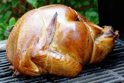 indirect heat cornish hen   salt dome