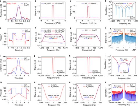 The Results Of The Slice Selective Excitation Pulses And Inversion