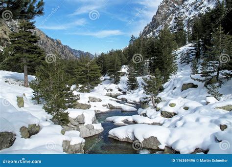 Snowy Lansdscape in Winter, Corsica, France, Europe Stock Photo - Image of france, scenery ...