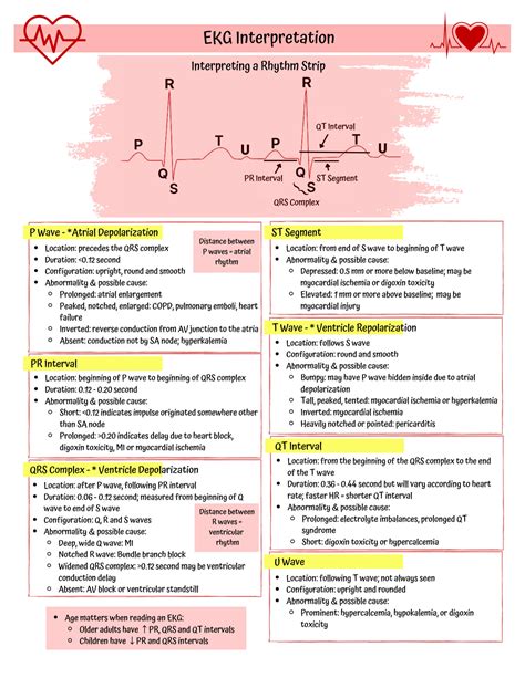 Solution Ekg Interpretation Nursing Studypool