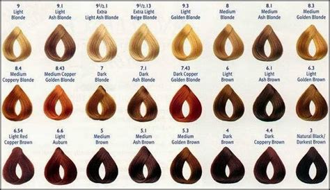 Fall In Love With Hair Color Chart Hairstyles And Hair Color For Long