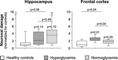 Neuronal damage in hippocampus and frontal cortex of critically ill ... 
